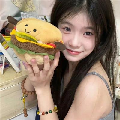 捉贼记